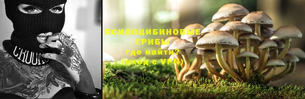 каннабис Аркадак