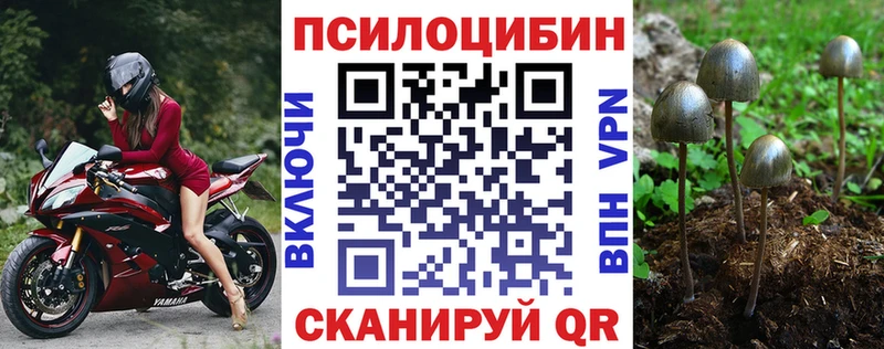 Галлюциногенные грибы GOLDEN TEACHER даркнет Telegram Лесозаводск